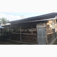 2plot for Poultry Lease