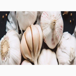 Garlic Powder - Premium Quality Supplier