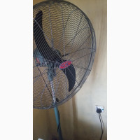 26inches Industrial OX Standing Fan
