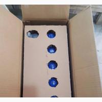 100ah Tubular Battery AEMEM 12v