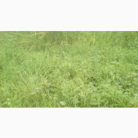 Cheap Land for Sale in Ilorin