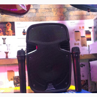 Karaoke Speakers and PA