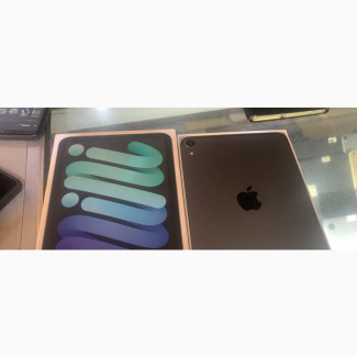 Apple iPad mini 6 256 GB Gray