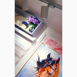 Equine Harmony Acrylic Wall Frame of a Horse