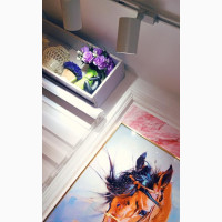 Equine Harmony Acrylic Wall Frame of a Horse