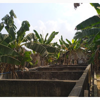 Fish Farm for Lease, Igbo Etche