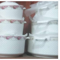 Brand New Unbreakable Ceramic Plates With Cover