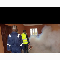 Eradicating Pests From a Facility in Kosofe