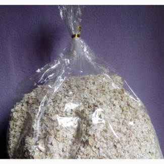 Wheat Cereal - High Protein, Low Fat