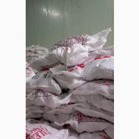 Fresh Frozen Chicken Available