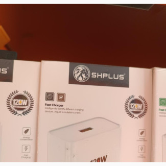 Should Fast Charger
