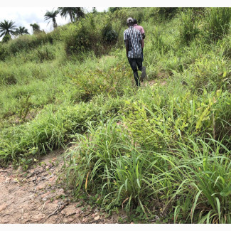 Cheap Acres Of Virgin Land For Sale In Ibadan
