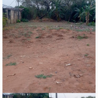 1/2 Plot of Land Available for Sell Urgently