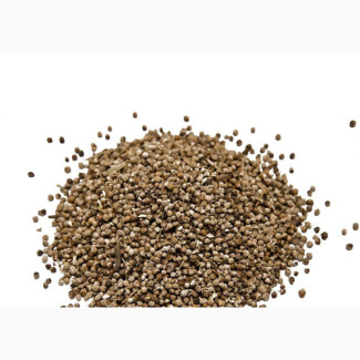 Vitex Chaste Berry - 100g