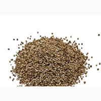 Vitex Chaste Berry - 100g
