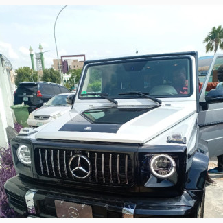 Mercedes-Benz G-Class 2014 G 500 Silver