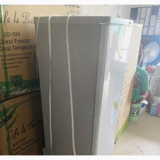 168 Standing Solar Freezer