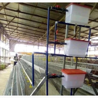 Imported Galvanized Battery Cages