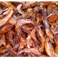 Fresh and Dried Sweet Prawns Available