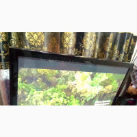 45 Inch LED Samsung TV