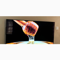LG Oled TV 55inch