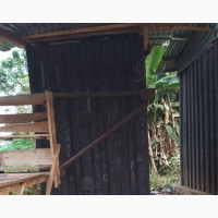 A Container Shop for Sale
