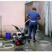 Algae Moss Removal/ Concrete Washing