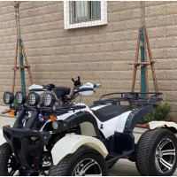 Electric Squad Bike