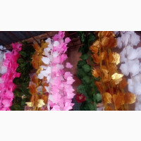 Hanging Flowers