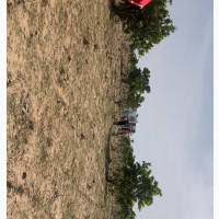 Residential Land 400sqm at Idu