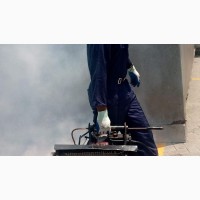 Get Rid of Pests in Your Home - Fumigation Services Available