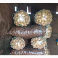 Fresh Irish Potatoes for Sale