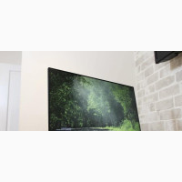 Dell P2219P Frameless IPS Monitor 22-Inch