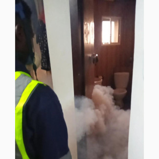 House and Compound Fumigation