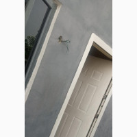 Furnished 1bdrm Apartment for Rent