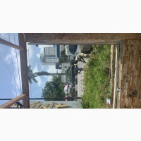 Frameless Glass Tempered 10mm