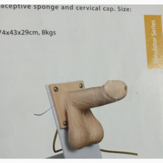 Male Condom Model Available