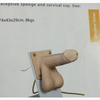 Male Condom Model Available
