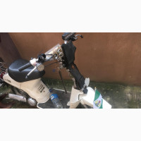 Honda 1986 White