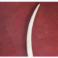 Unique Original 33 Inches Ivory Elephant Tusk