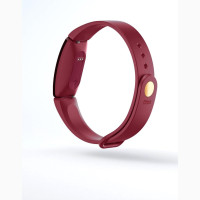Fitbit Inspire