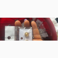 Stylish Clip Earrings - Look Fly Without Piercing