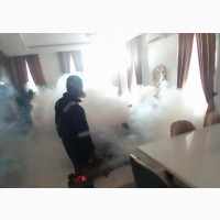 Best Fumigation and Cleaning Service