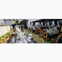 Professional Birthday Party Planning