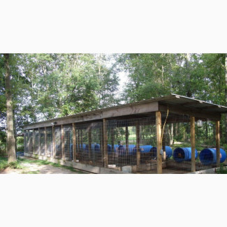 Kennel for Sale - Great Business Opportunity