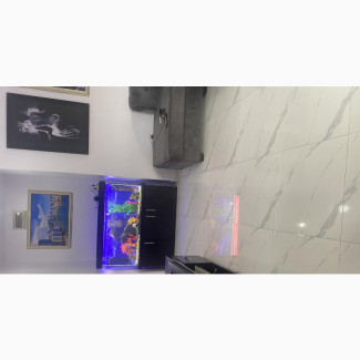 Quality Standing Aquarium Available for You