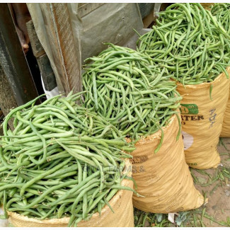 Fresh Green Beans