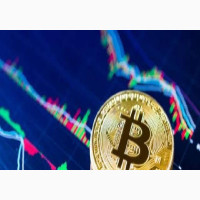 Learn Bit Coin and NFT Trading in 4 Weeks