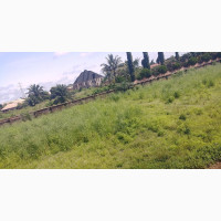 100 By 100 Land For Sale