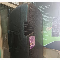Goodness 15 Rechargeable Public Address System